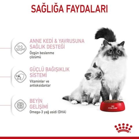 Royal Canin Mother Babycat Anne ve Yavru Kedi Maması 4 Kg