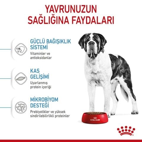 Royal Canin Giant Junior Dev Irk Yavru Köpek Maması 15 Kg