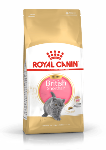 Royal Canin British Shorthair Kitten Yavru Kedi Maması