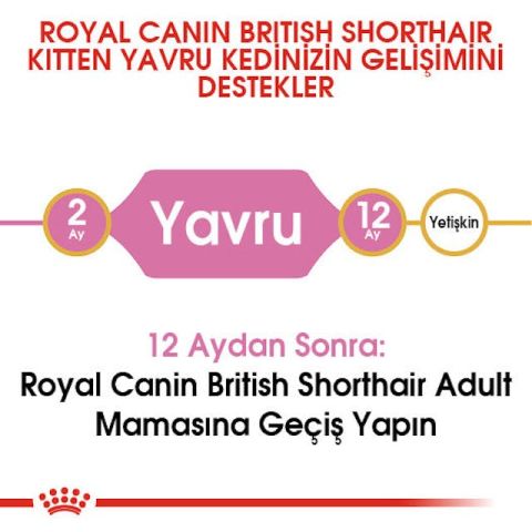 Royal Canin British Shorthair Kitten Yavru Kedi Maması