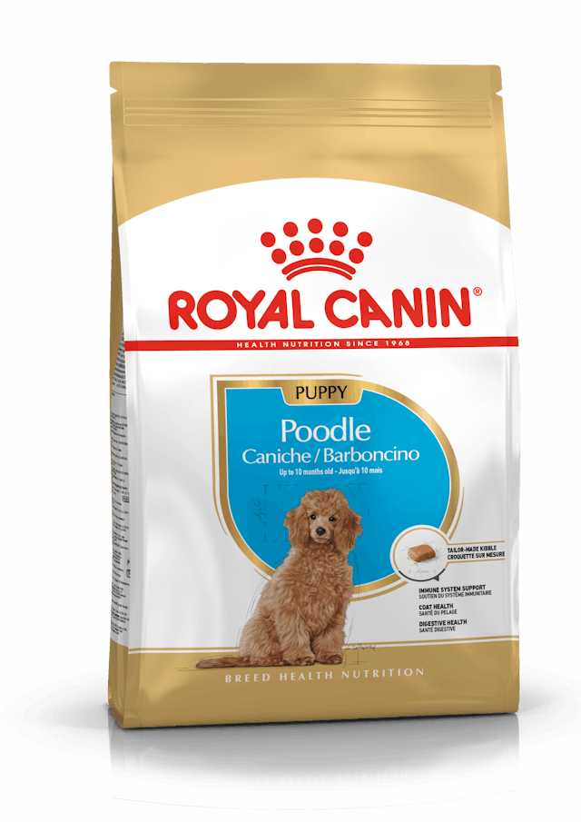 Royal Canin Poodle Junior Yavru Köpek Maması 3 Kg