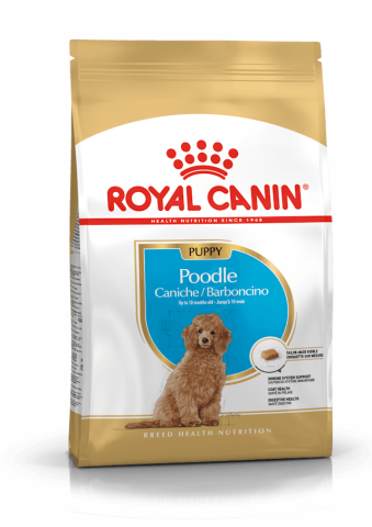 Royal Canin Poodle Junior Yavru Köpek Maması