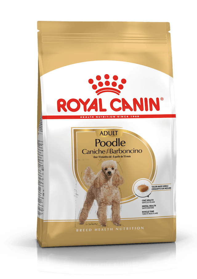 Royal Canin Poodle Adult Yetişkin Köpek Maması