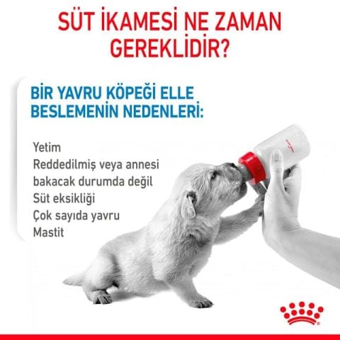 Royal Canin Babydog Milk Yavru Köpek Süt Tozu 400 Gr