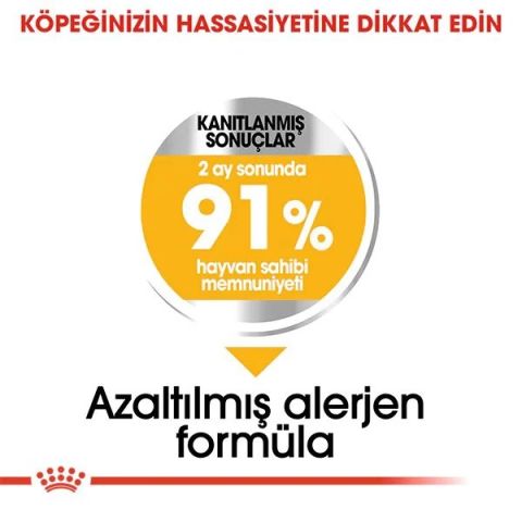 Royal Canin Mini Dermacomfort Yetişkin Köpek Maması 3 Kg