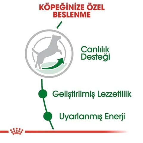 Royal Canin Mini Adult 8+ Küçük Irk Yaşlı Köpek Maması 2kg