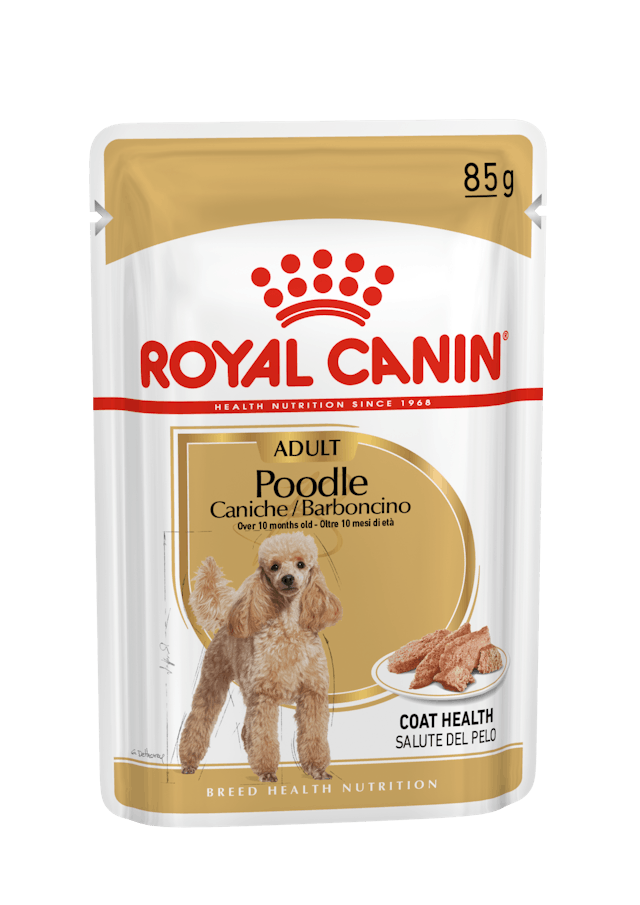 Royal Canin Poodle Adult Pouch Konserve Köpek Maması 12 Adet | Kargola Gelsin