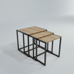 Oldenburg L2047