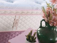 Rose Garden Pedli 4 Mevsim DSC Yaylı Ergonomik Yatak