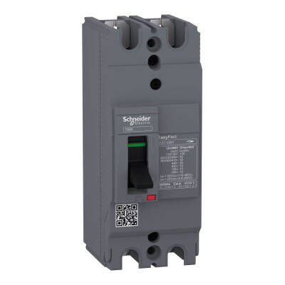 EZC100H2040 30kA 2*40 A SABİT TER.MAN. ŞALTER