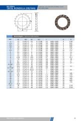Tırtıllı Pullar (Dıştan) DIN 6798 A
