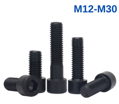 DIN 912 8.8 Kalite İmbus Civata M 24 - X 80