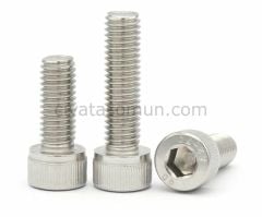 DIN 571 Paslanmaz Trifon Vida M8 - X 90