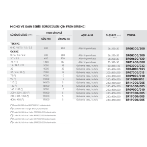 GMTCNT BR00300/200 300W 200 Ohm Frenleme Direnci