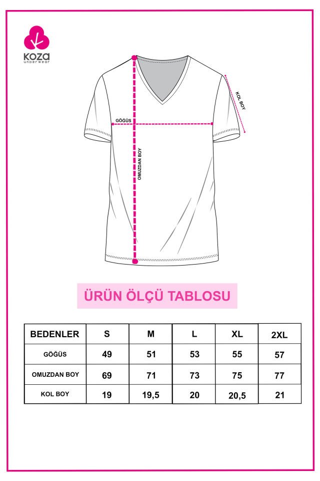 Erkek Pamuklu V Yaka Kısa Kollu Tişört 2 Adet 2XL - Füme - Beyaz