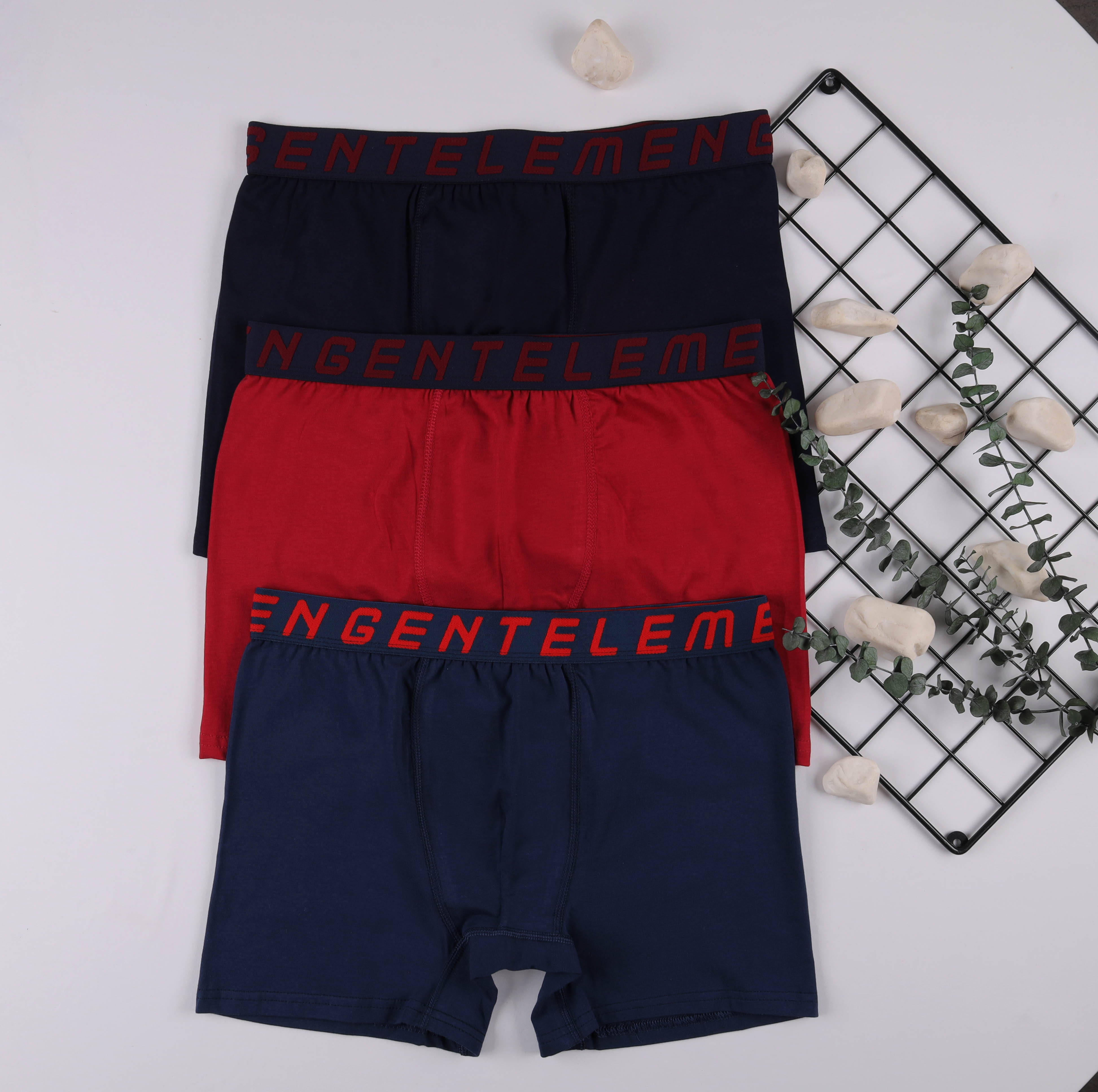 Boxer