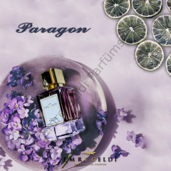 Emre Geldi INT: PARAGON