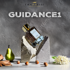 Emre Geldi GUIDANCE