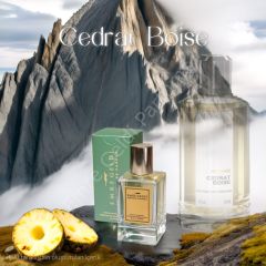 Emre Geldi CEDRAT BOISE