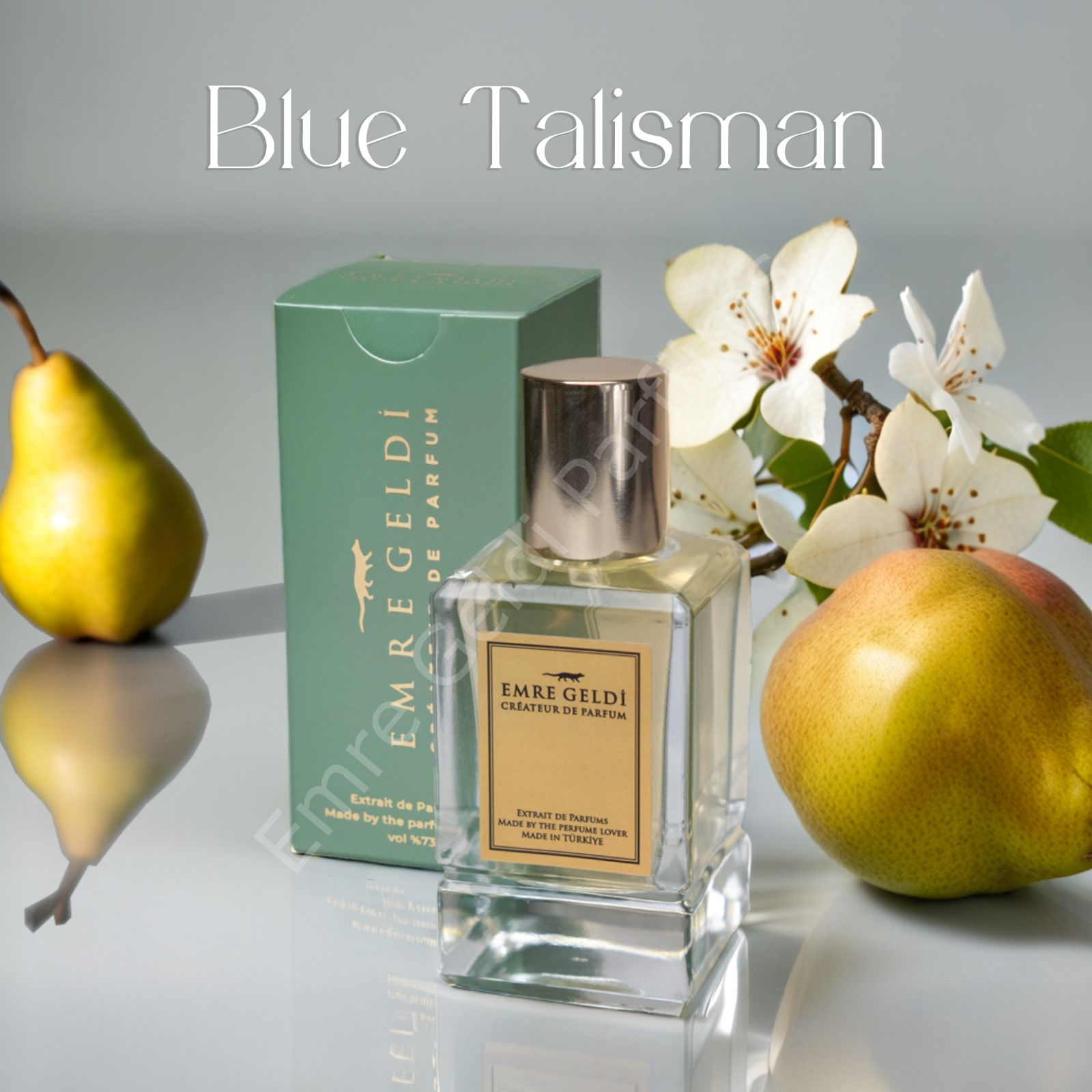 Emre Geldi BLUE TALISMAN