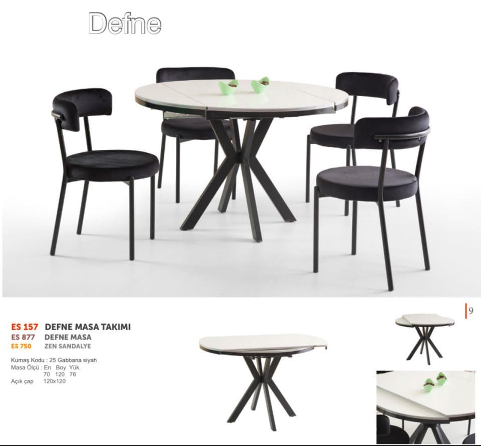 Defne masa takımı