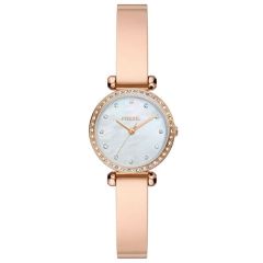 FOSSIL FBQ3894