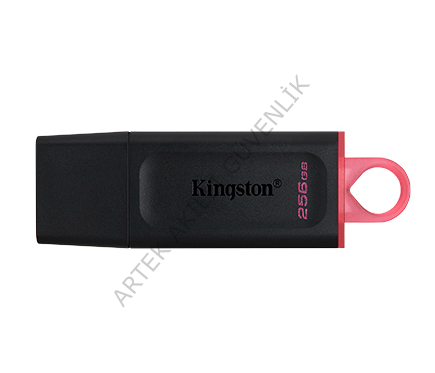 Kingston Exodia USB 3.2 Gen1 DTX/256GB 256 GB Flash Bellek