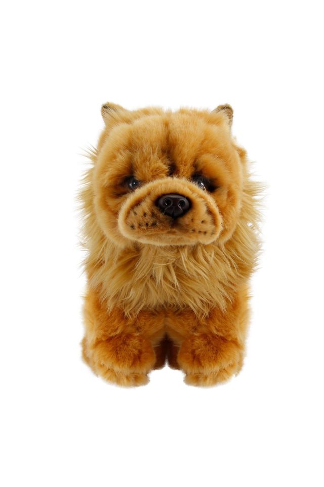 Chow Chow (ÇİN ASLANI) 28cm