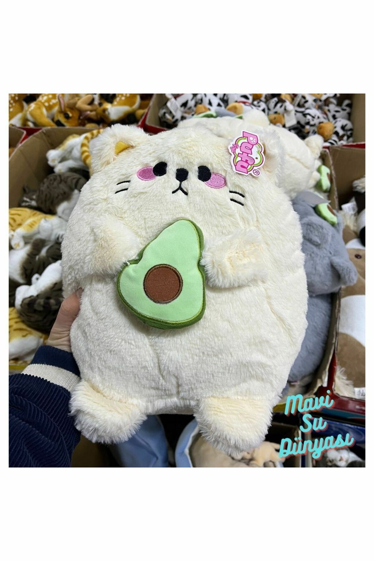 Peluş Avakado Kedi - Mavi Su Dünyası BEYAZ