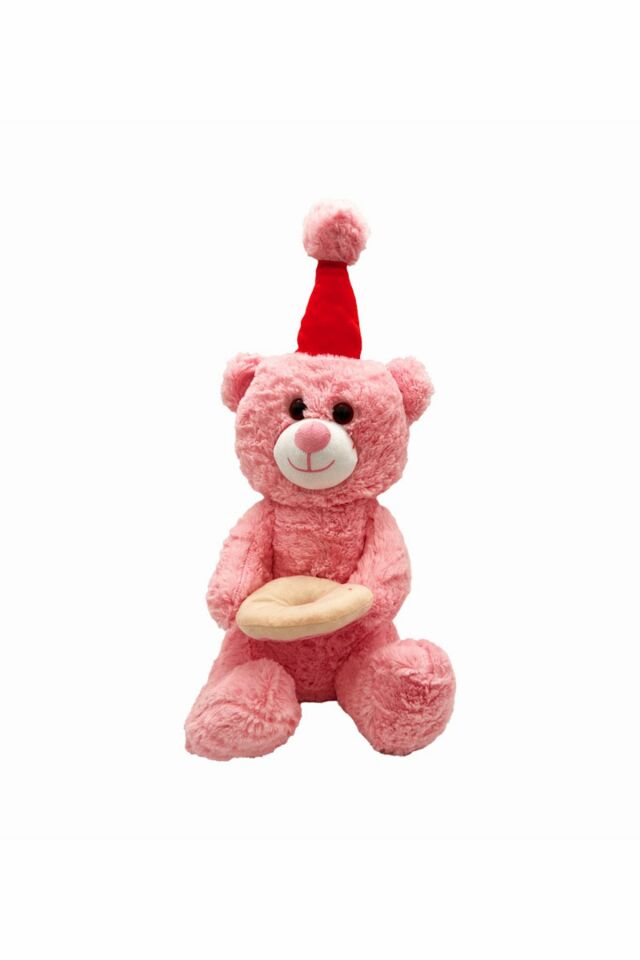 Peluş Pastalı Ayıcık - Mavi Su Dünyası Pembe