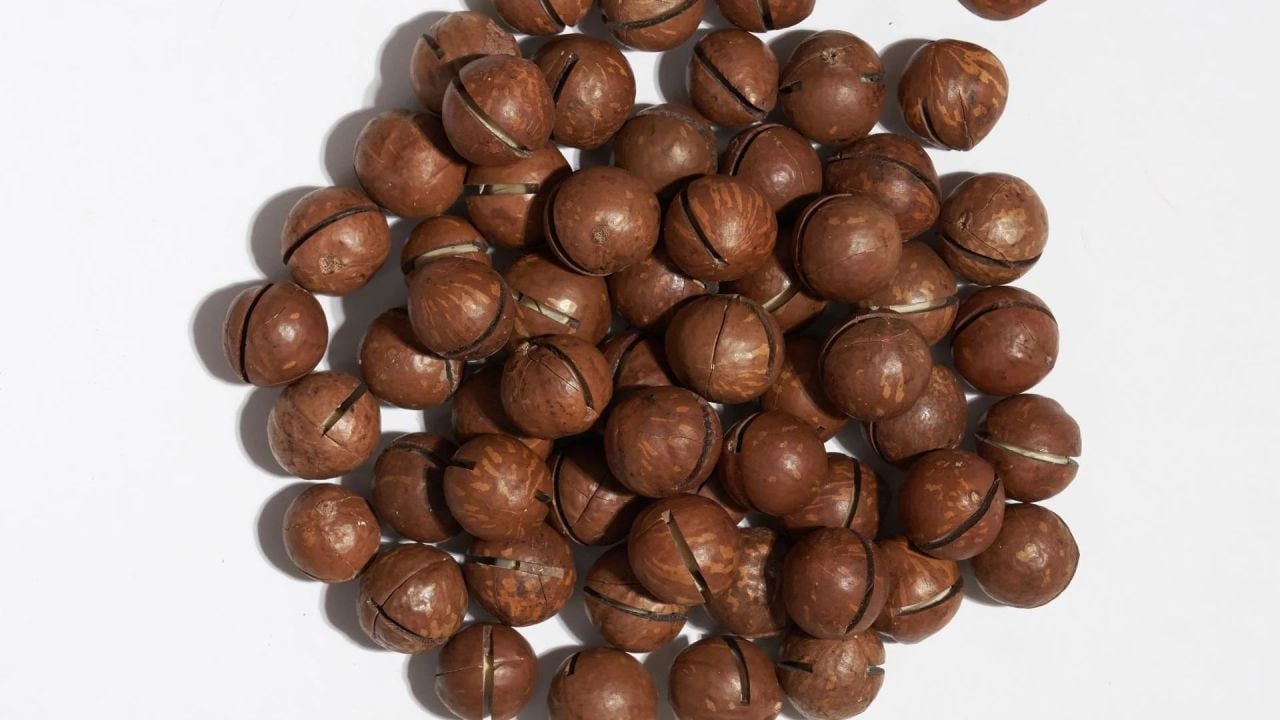 Makademya Fındığı Nedir? Nasıl Tüketilmeli?