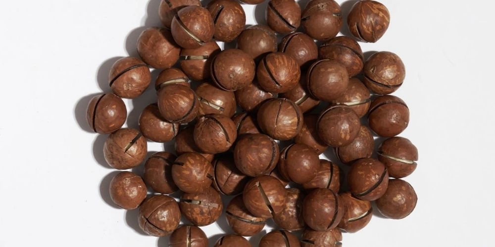 Makademya Fındığı Nedir? Nasıl Tüketilmeli?