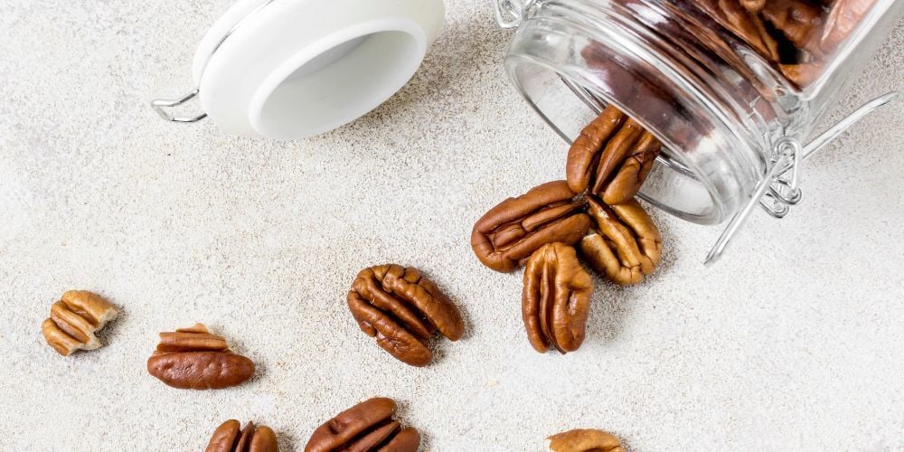 Pikan Cevizi Nedir? Faydaları ve Kullanım Alanları
