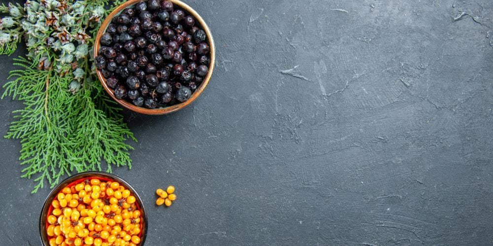 Turna Yemişi Nedir?