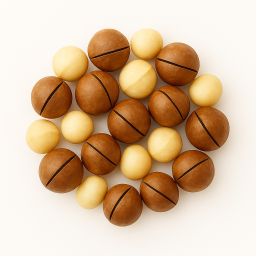 Makademya Fındığı 