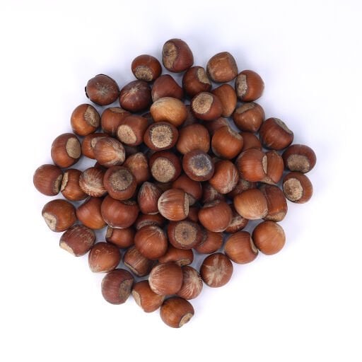 Fındık