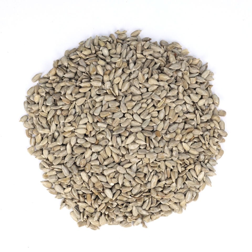 AY ÇEKİRDEĞİ İÇİ