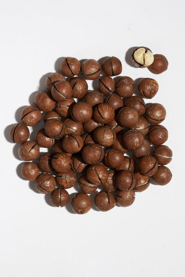 Kabuklu Kavrulmuş Makademya Fındığı 100 Gram