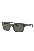 Ray-Ban 0rb 2190 1292b1 55 Unisex Güneş Gözlüğü