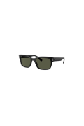 Ray-Ban 0rb 2190 901/31 55 Erkek Güneş Gözlüğü