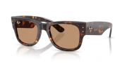 Rayban 0840S 902/53 51 Unisex Güneş Gözlüğü