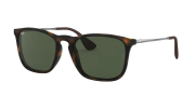 RAYBAN RB 4187 710/71 54G Erkek Güneş Gölüğü