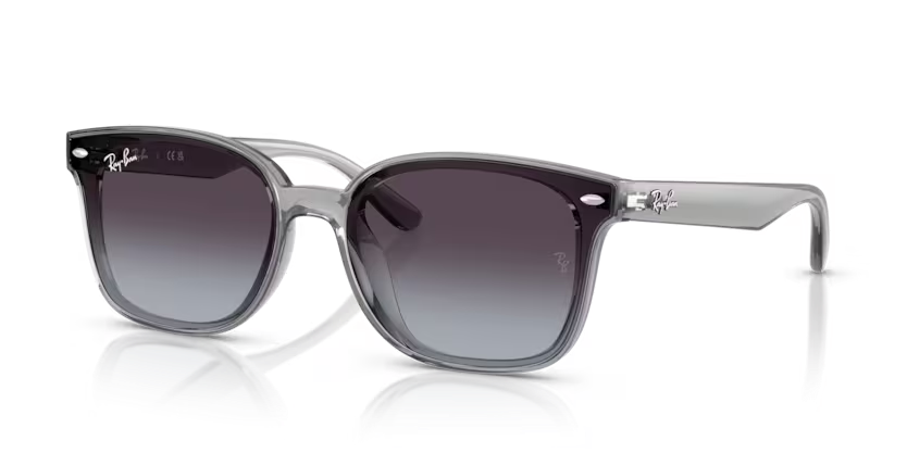 Rayban 4461D 64508G 64 Unisex Güneş Gözlüğü
