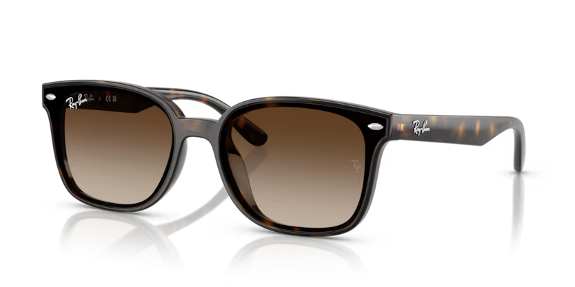 Rayban 4461D 710/13 64 Unisex Güneş Gözlüğü
