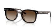 Rayban 4461D 710/13 64 Unisex Güneş Gözlüğü
