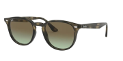 Ray-Ban RB 4259 731/E8 51 Ekartman Unisex Güneş Gözlüğü