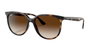 Ray-Ban RB 4378 710/13 54 Ekartman Kadın Güneş Gözlüğü
