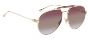 ETRO 0022S 000 61 G Unisex güneş Gözlüğü