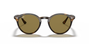 RAYBAN RB 2180 710/73 49G Unisex Güneş Gözlüğü