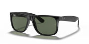 RAYBAN RB 4165 601/71 55G Erkek Güneş Gözlüğü